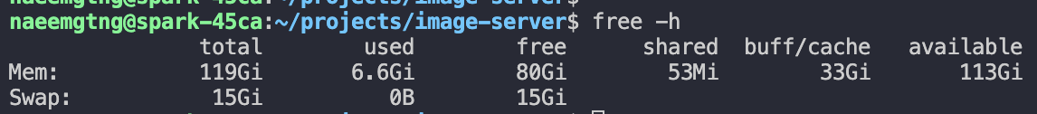 Running free -h command in terminal after inference