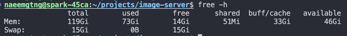 Running free -h command in terminal during inference