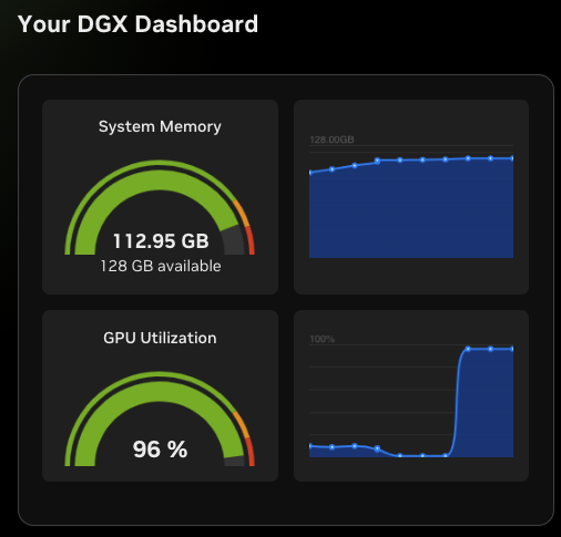 DGX dashboard during inference
