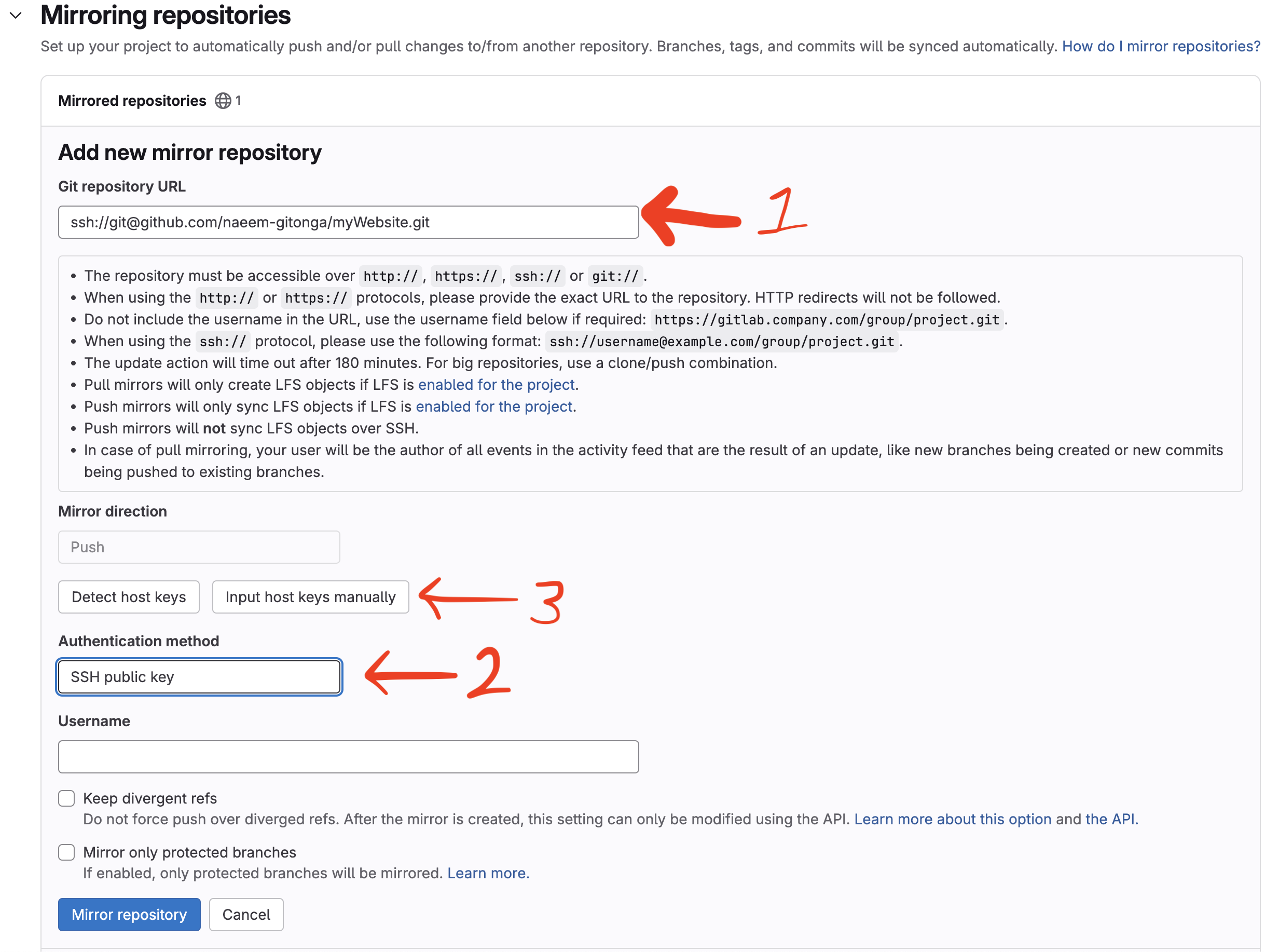 Gitlab Settings