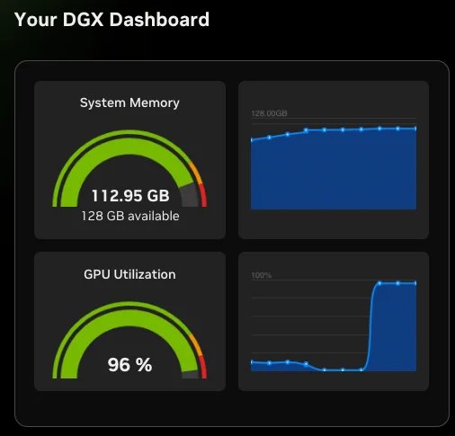DGX dashboard during inference